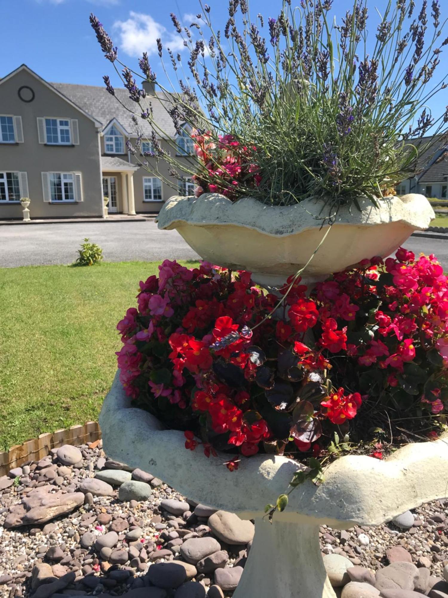 Kielty'S Of Kerry Bed And Breakfast Waterville Dış mekan fotoğraf
